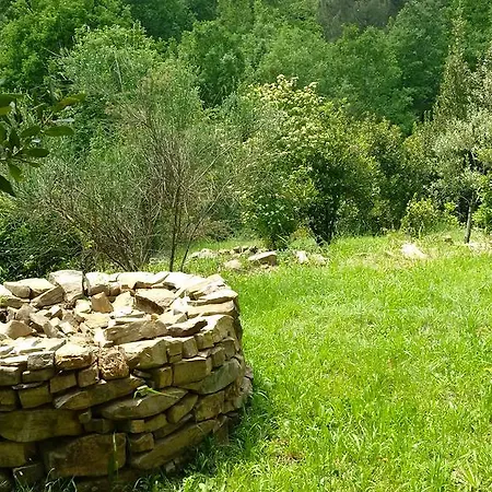 La Vernade